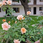 Image of Fellowship Square Historic Mesa (4)