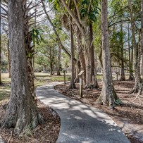 Image of Pacifica Senior Living Forest Trace (3)