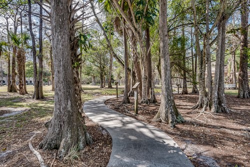 Image of Pacifica Senior Living Forest Trace (3)