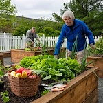 Image of Applewood Village (5)