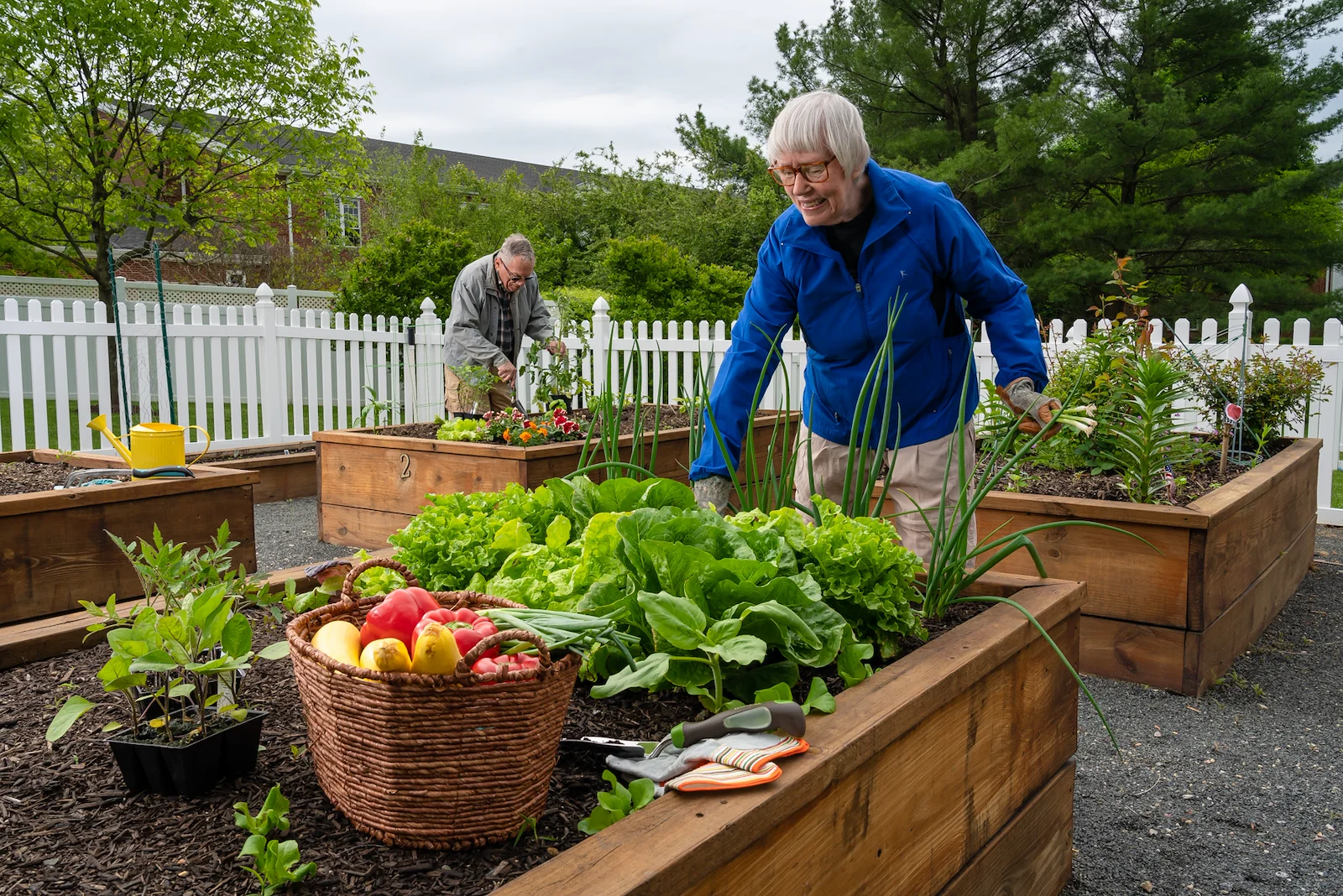 Image of Applewood Village (5)