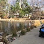 Legacy Pond with Outdoor Seating