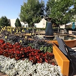 Image of Beth Israel at Shalom Park (1)