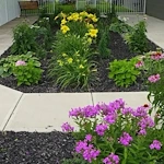 Image of Hickory Creek At Franklin (2)