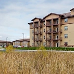 Image of Grand Arbor by Vivie (1)