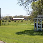 Image of Divine at Honeytown (3)