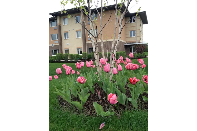 Image of Morning Star Village (2)