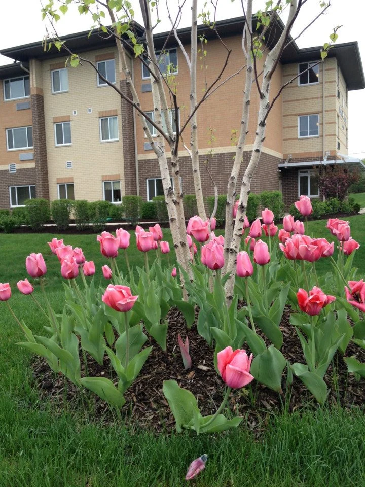 Image of Morning Star Village (2)