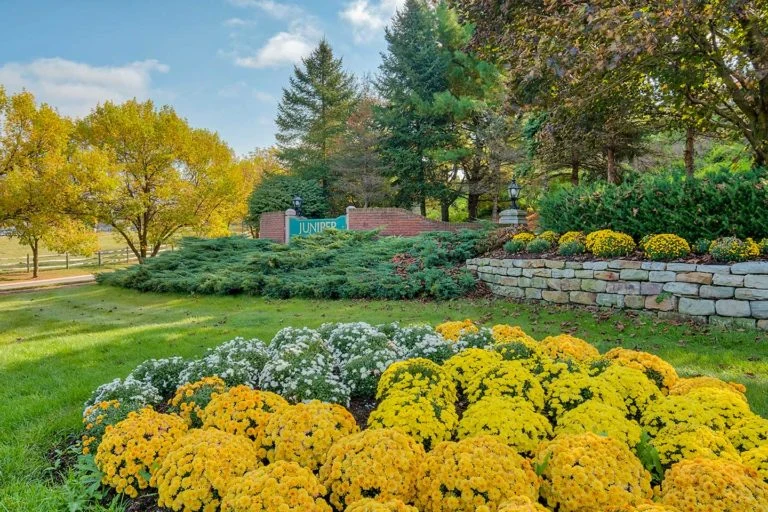 Image of Juniper Village at Brookline Senior Living (1)