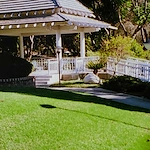 Image of Motion Picture And T.V. Hosp D/P Snf (1)