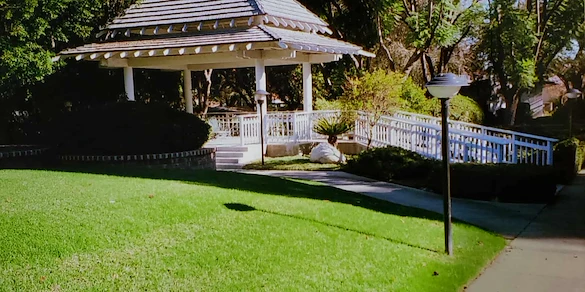 Image of Motion Picture And T.V. Hosp D/P Snf (1)