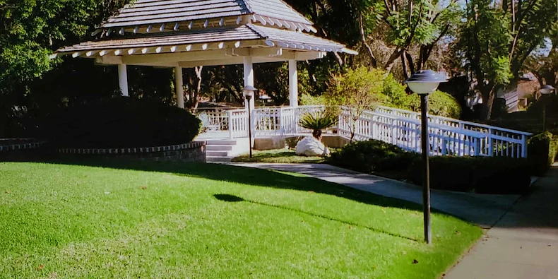 Image of Motion Picture And T.V. Hosp D/P Snf (1)