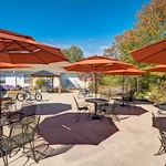 Image of The Renaissance of Florence (10)