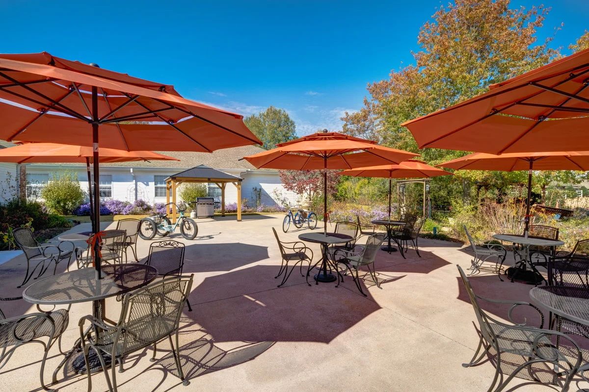 Image of The Renaissance of Florence (10)