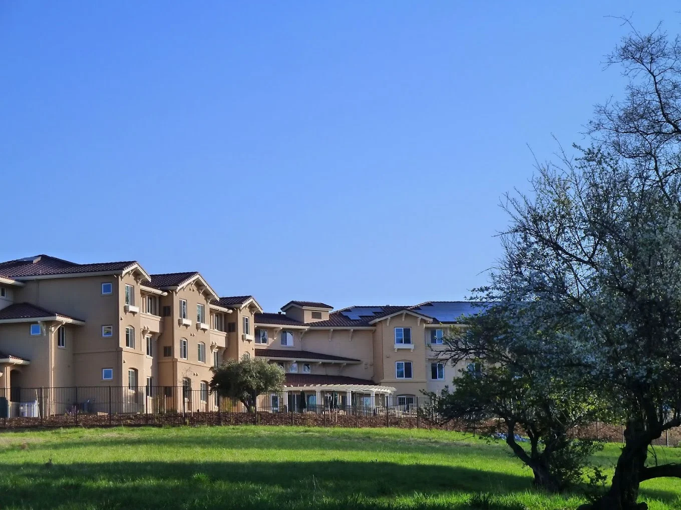 Image of McAuley Meadows (1)