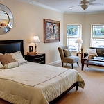 Image of Rain Forest Landings (9)