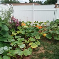 Image of Heritage Avonlea of Gladstone (3)