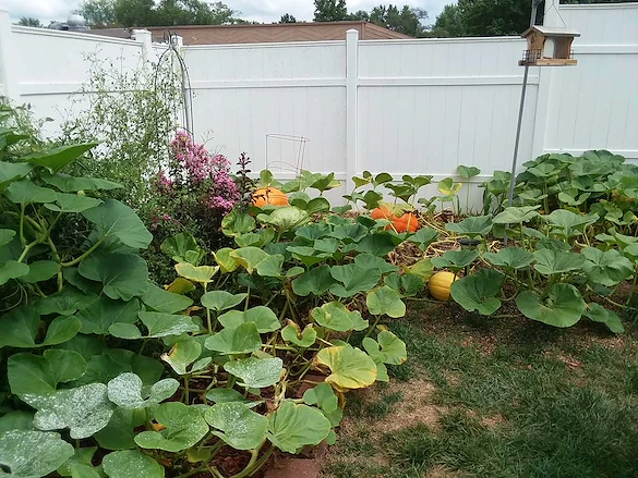 Image of Heritage Avonlea of Gladstone (3)