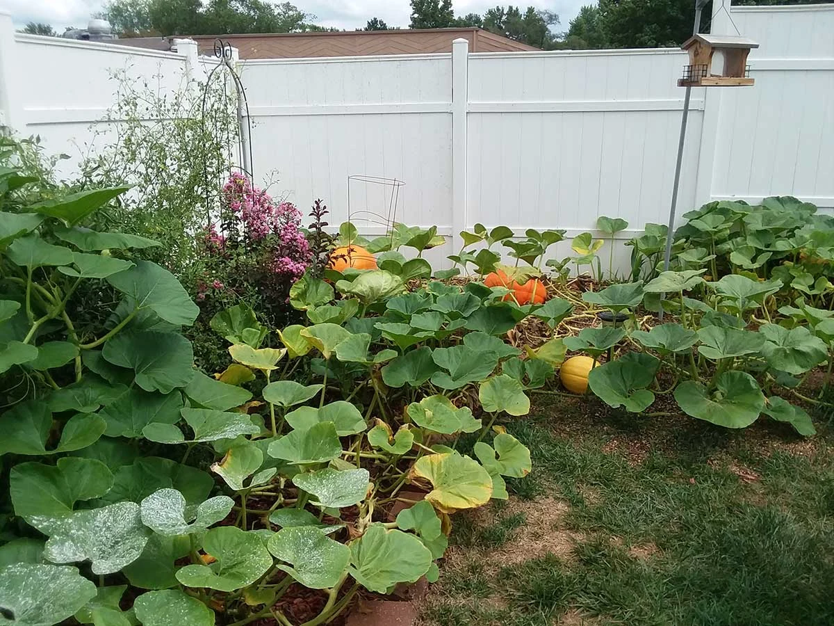 Image of Heritage Avonlea of Gladstone (3)