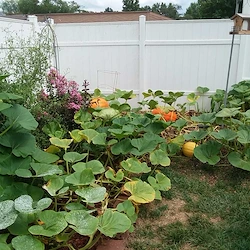 Image of Heritage Avonlea of Gladstone (3)