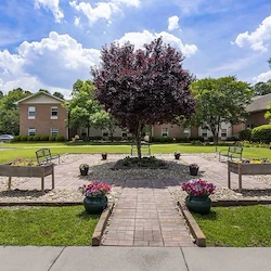 Image of TerraBella Windsor Lake (2)