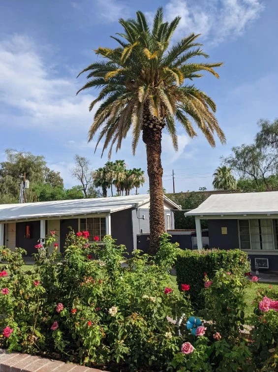 Image of Oasis Assisted Living Center (1)