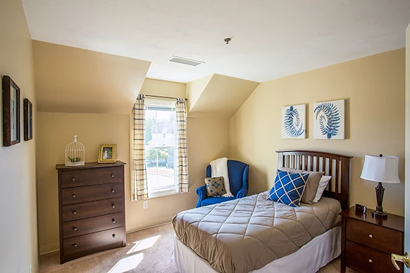 Image of Brookdale Spruce Wood (10)