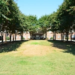 Image of The Laurels & The Haven in Highland Creek (8)