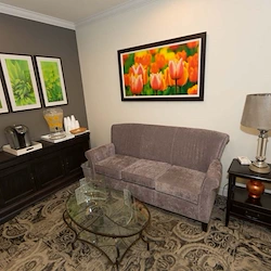 Image of The Springs At Pacific Regent (5)