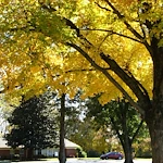 Image of Health Center at Standifer Place (7)