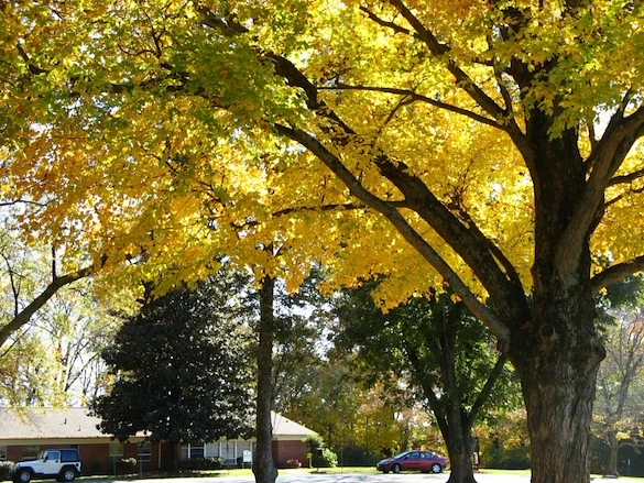 Image of Health Center at Standifer Place (7)