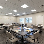 Image of Silver Birch of Avondale (7)