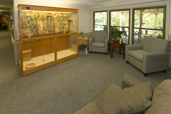 Image of Careage Hills Rehab & Healthcare (3)
