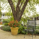 Image of Glen Meadows Assisted Living (2)