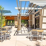 Image of Sagewood at Daybreak (10)