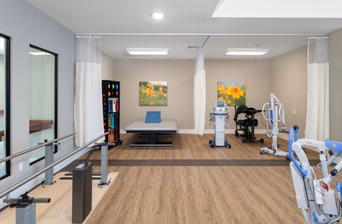 Rehabilitation Gym