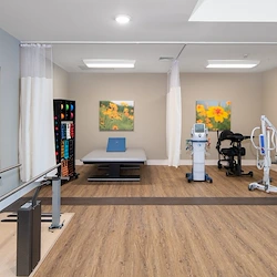 Rehabilitation Gym