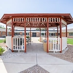 Image of Willow Tree (2)