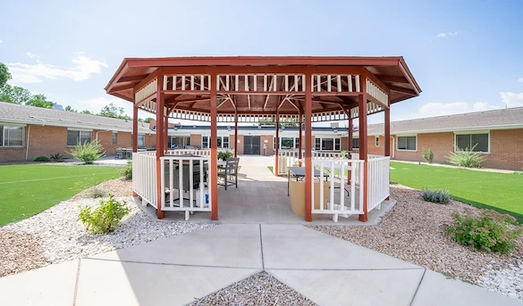 Image of Willow Tree (2)