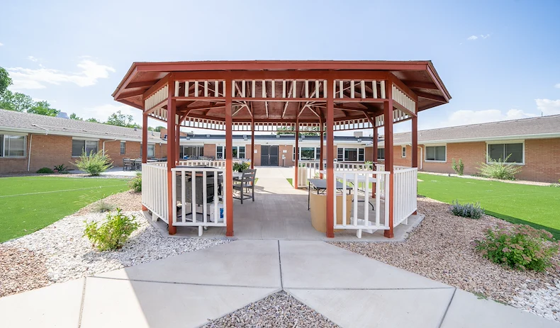 Image of Willow Tree (2)