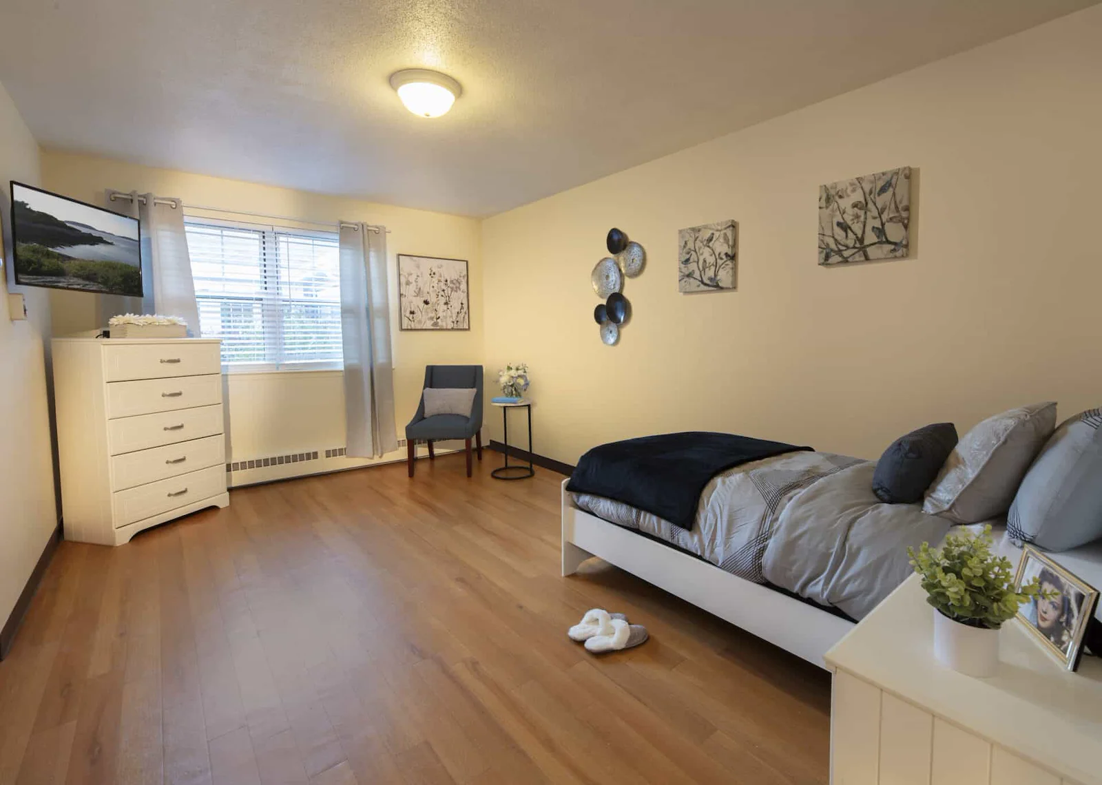 Image of Compass on the Bay (7)