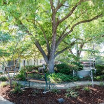 oakwood-gardens-care-center-image-2