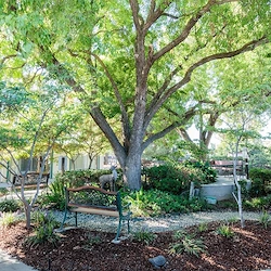 Image of Oakwood Gardens Care Center (2)