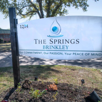 Image of The Springs Of Brinkley (1)