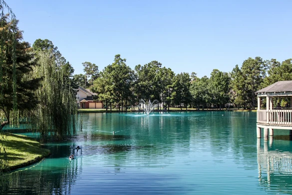 Image of The Forum at The Woodlands (10)