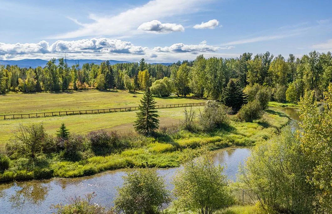 Image of The Woodlands (9)