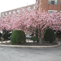 Image of Riverside Health and Rehab Center (1)