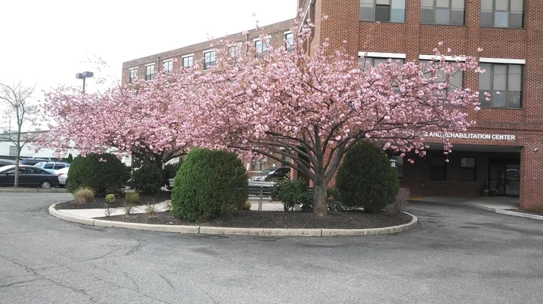 Image of Riverside Health and Rehab Center (1)