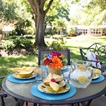 Image of Westminster Suncoast (9)