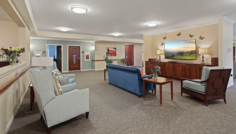 Lounge/media area at the Waters of Edina